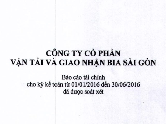 Báo cáo tài chính 6 tháng đầu năm 2016 (đã soát xét)
