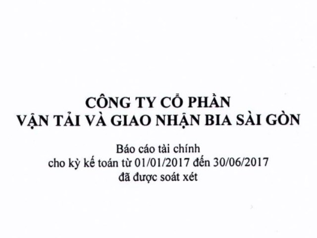 Báo cáo tài chính 6 tháng đầu năm 2017 (đã soát xét)