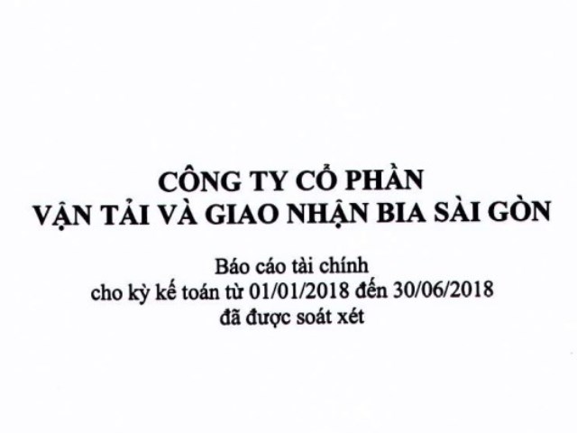Báo cáo tài chính 6 tháng đầu năm 2018 (đã soát xét)