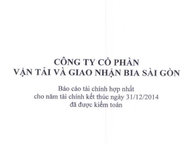 Báo cáo tài chính hợp nhất năm 2014 (đã kiểm toán)