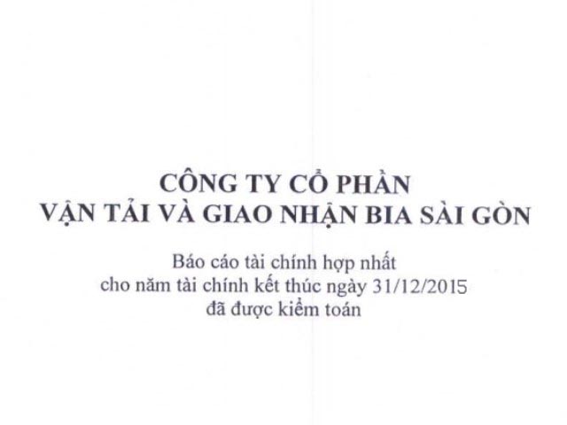 Báo cáo tài chính năm 2015