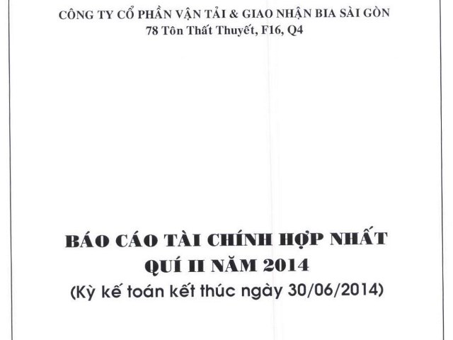Báo cáo tài chính hợp nhất quí II năm 2014