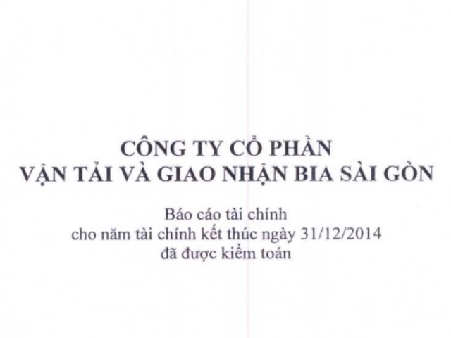 Báo cáo tài chính năm 2014 (đã kiểm toán)