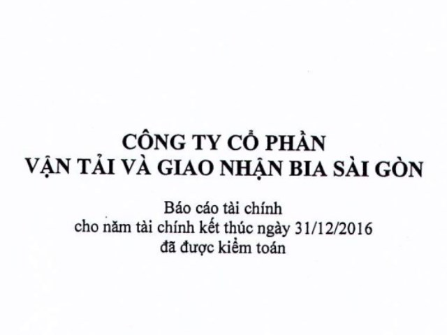 Báo cáo tài chính năm 2016 (đã được kiểm toán)