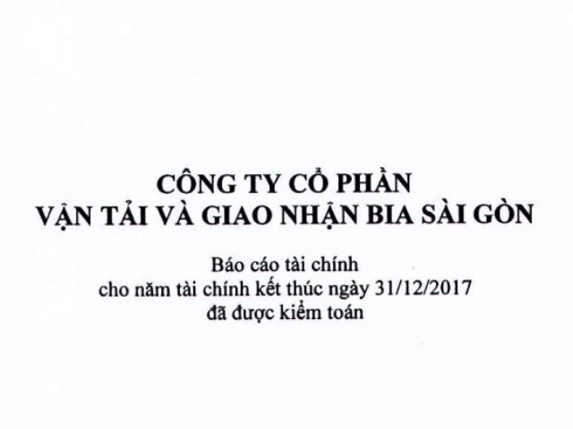 Báo cáo tài chính năm 2017 (đã được kiểm toán)