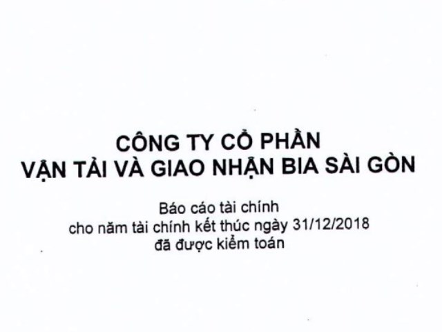 Báo cáo tài chính năm 2018 (đã được kiểm toán)