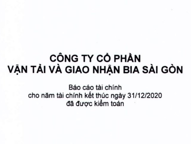 Báo cáo tài chính năm 2020 (đã được kiểm toán)