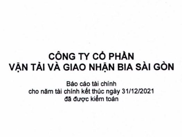 Báo cáo tài chính năm 2021 (đã được kiểm toán)