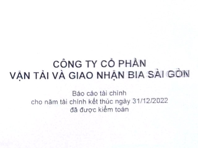 Báo cáo tài chính năm 2022 (đã được kiểm toán)